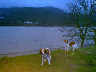 remagen