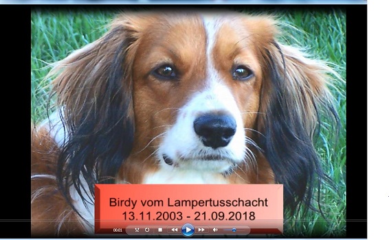 https://youtu.be/ZyrmPEi1kGQ Birdy